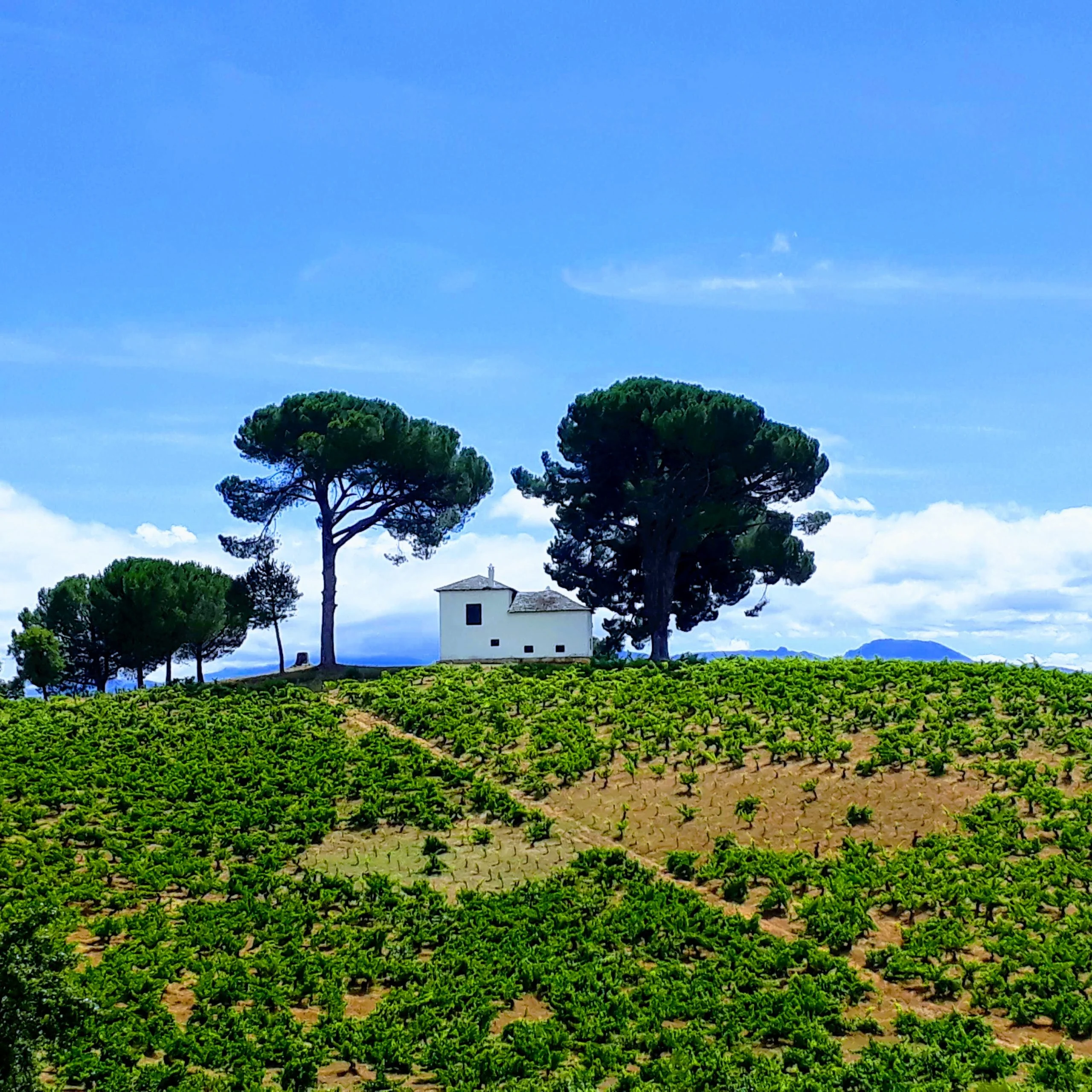 How to choose your Camino de Santiago route | WAW Travel
