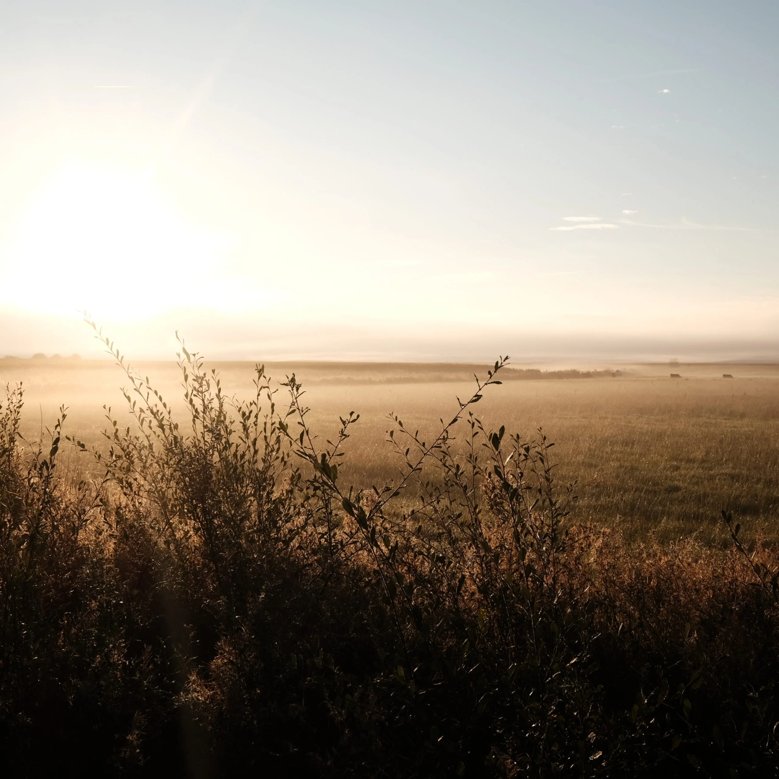 Top 10 FAQs of walking the Camino | WAW Travel