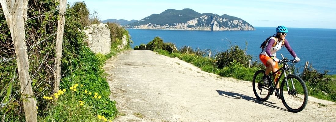 Camino Portuguese guide: essential insights | WAW Travel