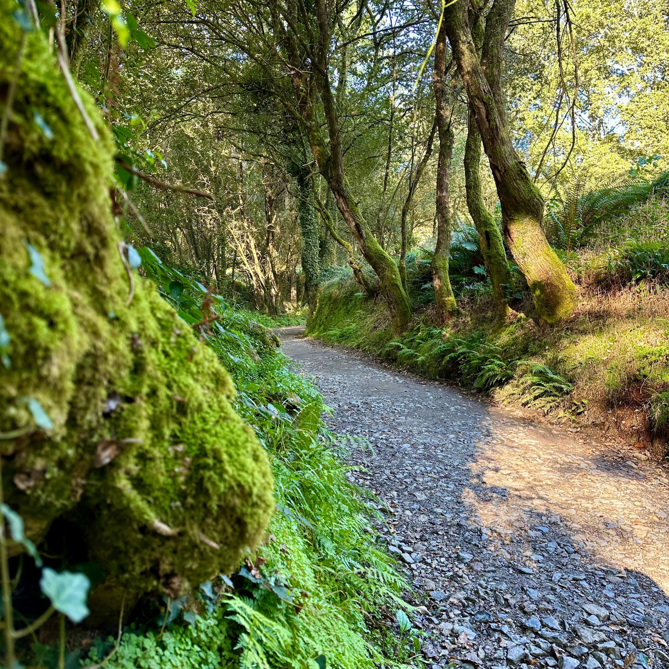 What is the best time to walk Camino de Santiago? | WAW