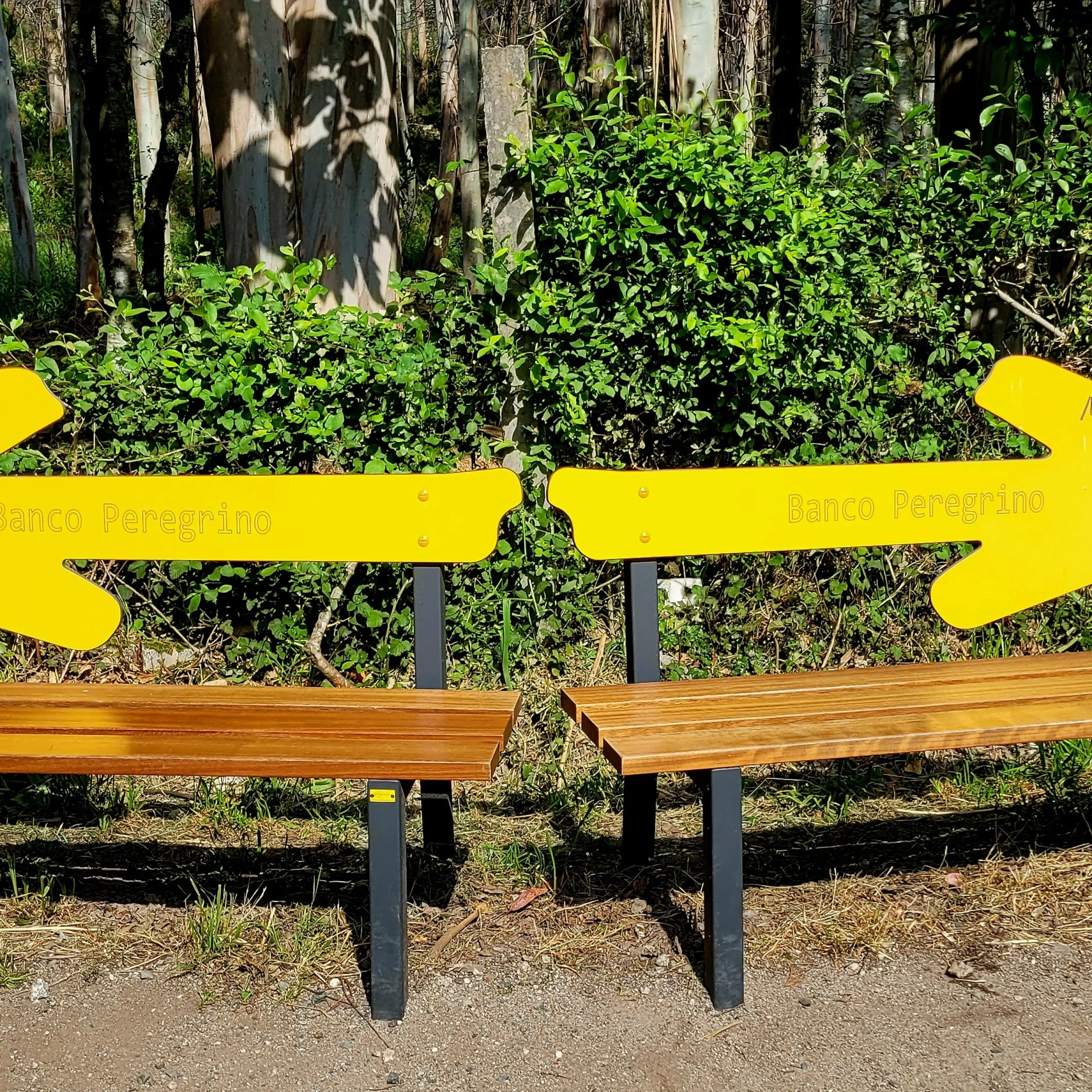 Yellow arrow, symbol of the Camino de Santiago | WAW Travel