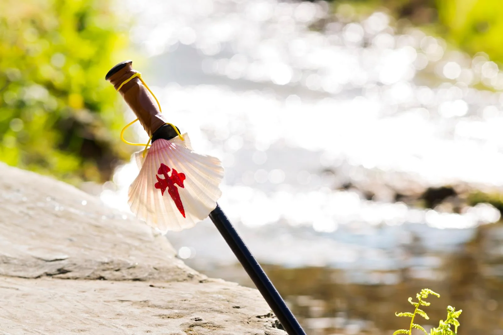 10 Camino rules we walk by | WAW Travel