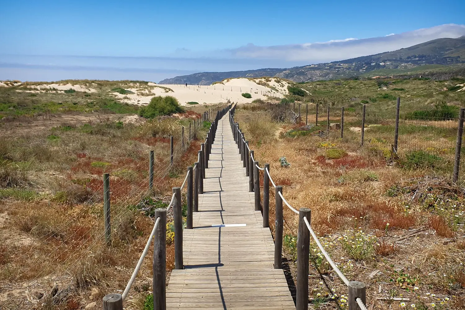 Camino Portugues route: Inland or along the coast? | WAW