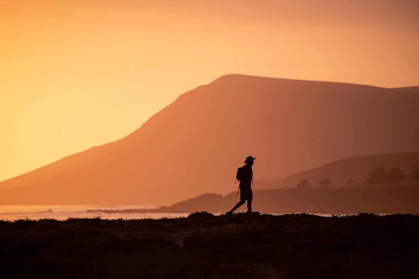 Is walking healthy? Here are 5 reasons why it is | WAW